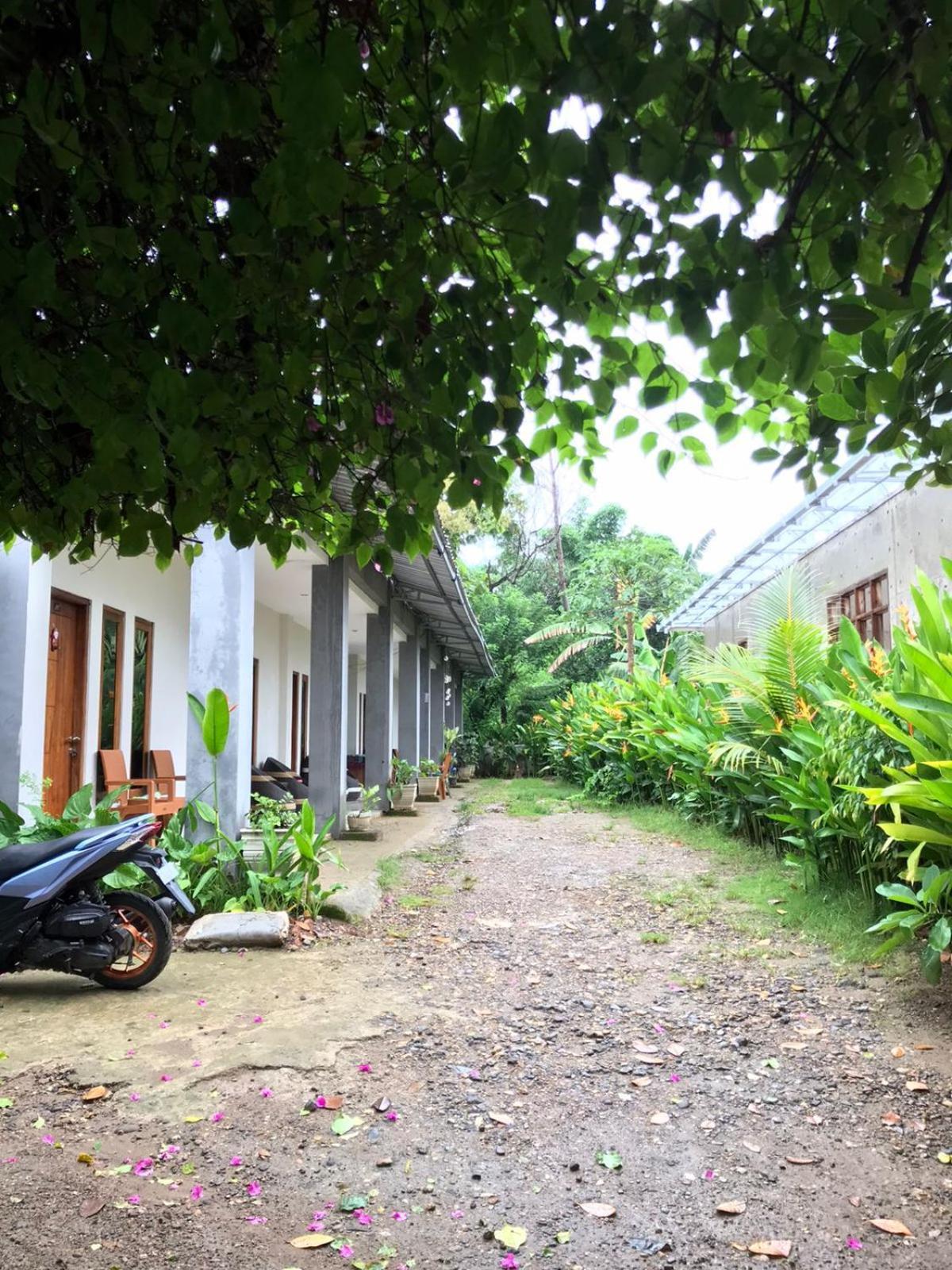 Wl Guesthouse Labuan Bajo Exterior photo