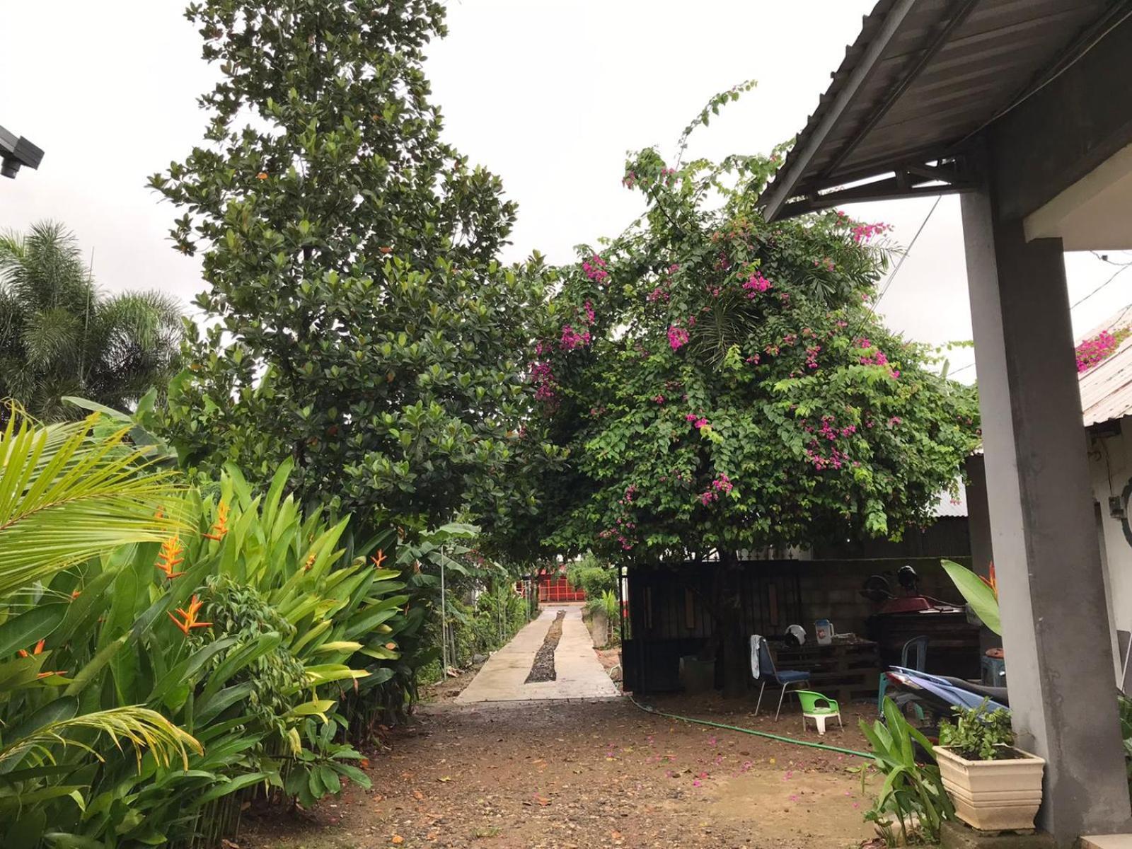 Wl Guesthouse Labuan Bajo Exterior photo